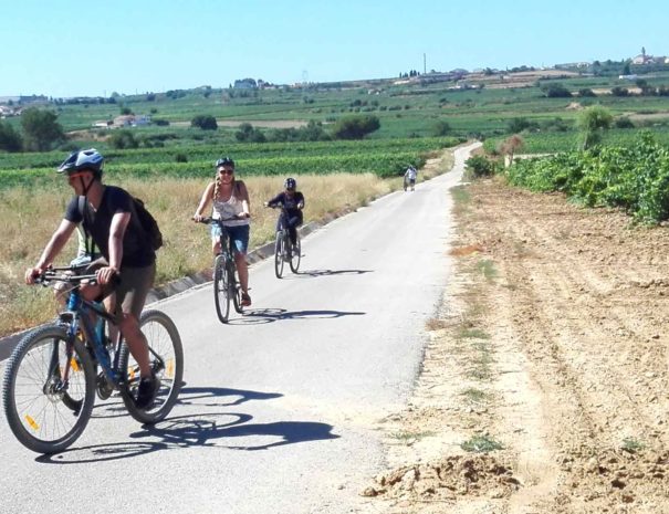 Wine tour Penedès