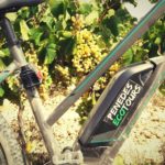 bike wine penedes