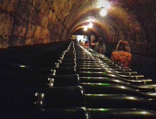 bodega tour catalunya