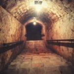 cellar visit barcelona