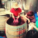 harvest winery barcelona
