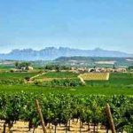 montserrat bodega tour