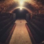 penedes cellar tour