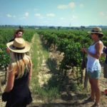 visite vignoble barcelone