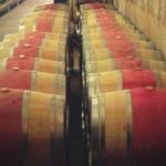 visite viticulteur barcelone