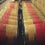 wine visit penedes