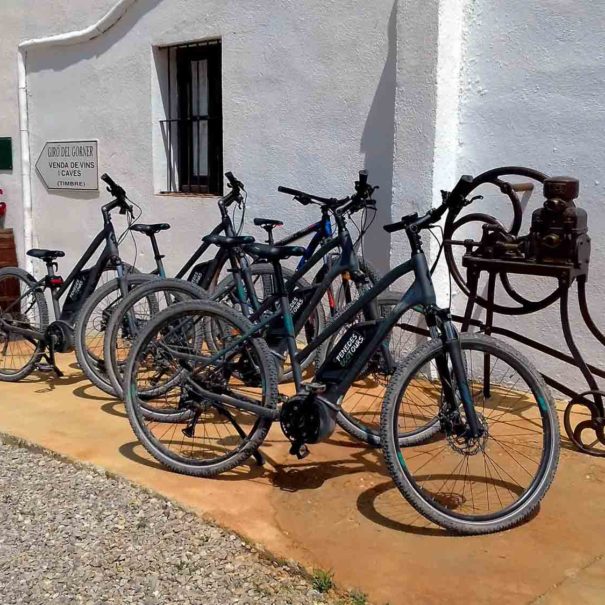 Tour a bodegas desde Barcelona