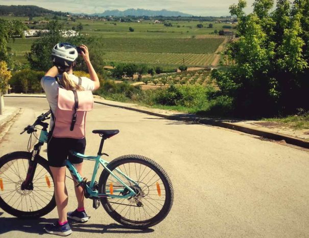 Wine and bike tour around Montserrat