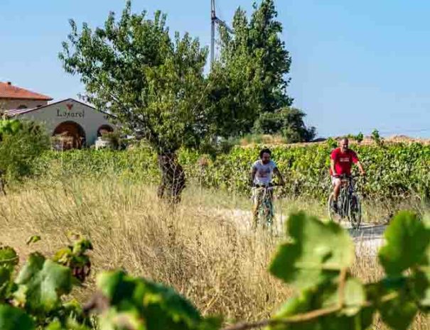 guided tour winery penedes