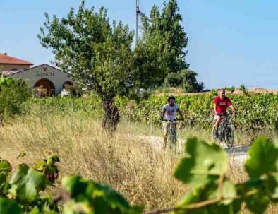 visite vignoble penedes