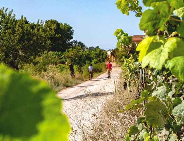 tour velo vignoble cavas