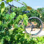 velo tour penedes