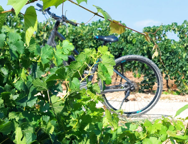 velo tour penedes