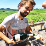 vignoble picnic penedes barcelone