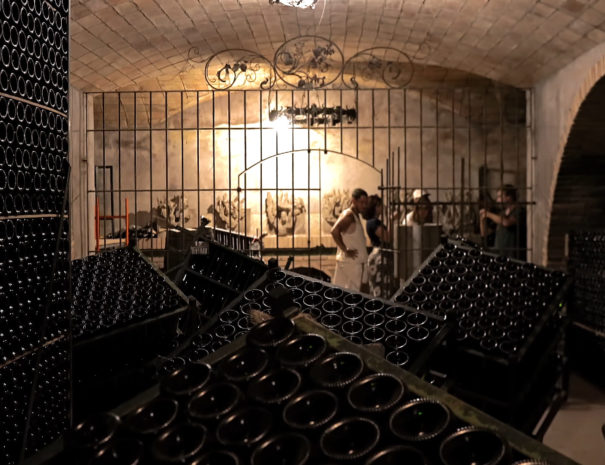 wine tour from barcelona