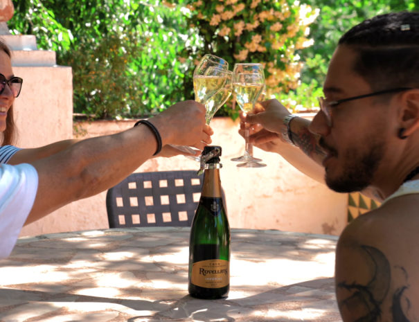 wine tour penedes