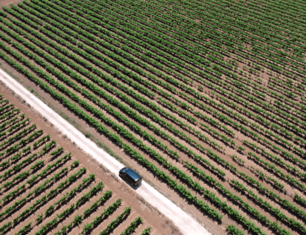 wine tour penedes region