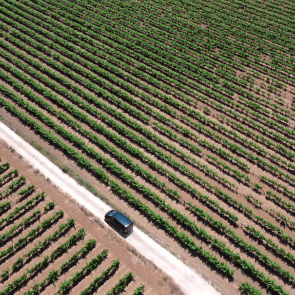 wine tour penedes region