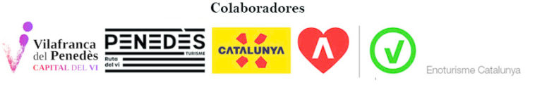 tour vino barcelona penedes